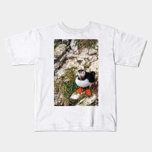 Puffin on a cliff edge Kids T-Shirt